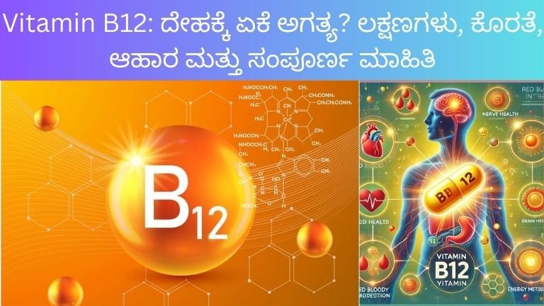 Vitamin B12: ದೇಹಕ್ಕೆ ಏಕೆ ಅಗತ್ಯ? ಲಕ್ಷಣಗಳು, ಕೊರತೆ, ಆಹಾರ ಮತ್ತು ಸಂಪೂರ್ಣ ಮಾಹಿತಿ