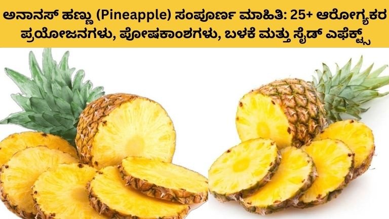 ಅನಾನಸ್ ಹಣ್ಣು (Pineapple) ಸಂಪೂರ್ಣ ಮಾಹಿತಿ: 25+ ಆರೋಗ್ಯಕರ ಪ್ರಯೋಜನಗಳು, ಪೋಷಕಾಂಶಗಳು, ಬಳಕೆ ಮತ್ತು ಸೈಡ್ ಎಫೆಕ್ಟ್ಸ್