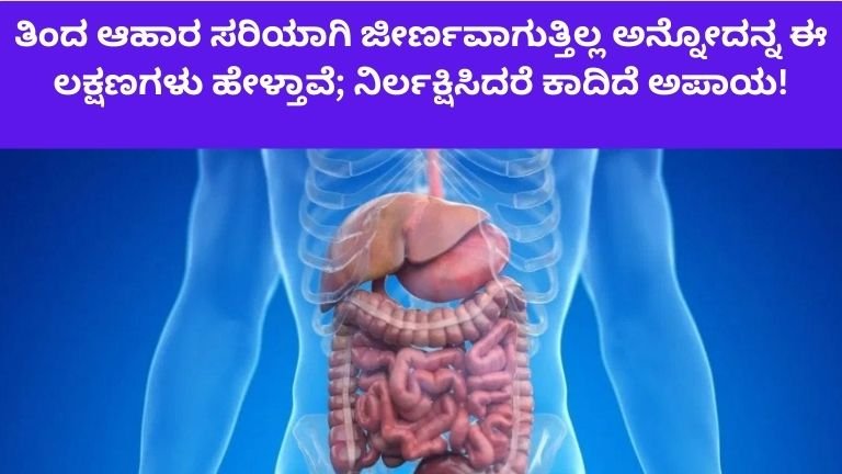 ತಿಂದ ಆಹಾರ ಸರಿಯಾಗಿ ಜೀರ್ಣವಾಗುತ್ತಿಲ್ಲ ಅನ್ನೋದನ್ನ ಈ ಲಕ್ಷಣಗಳು ಹೇಳ್ತಾವೆ; ನಿರ್ಲಕ್ಷಿಸಿದರೆ ಕಾದಿದೆ ಅಪಾಯ!