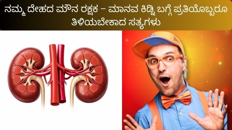 ನಮ್ಮ ದೇಹದ ಮೌನ ರಕ್ಷಕ – ಮಾನವ ಕಿಡ್ನಿ ಬಗ್ಗೆ ಪ್ರತಿಯೊಬ್ಬರೂ ತಿಳಿಯಬೇಕಾದ ಸತ್ಯಗಳು