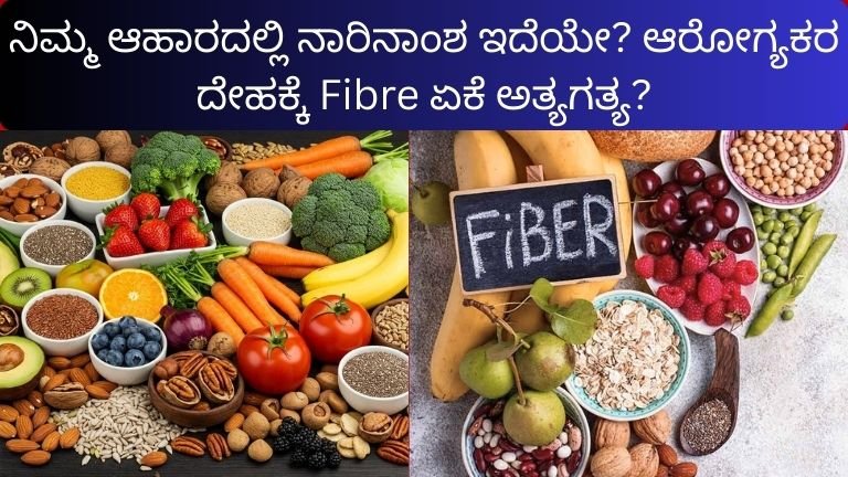 ನಿಮ್ಮ ಆಹಾರದಲ್ಲಿ ನಾರಿನಾಂಶ ಇದೆಯೇ? ಆರೋಗ್ಯಕರ ದೇಹಕ್ಕೆ Fibre ಏಕೆ ಅತ್ಯಗತ್ಯ?