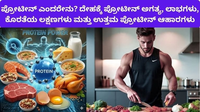 ಪ್ರೋಟೀನ್ ಎಂದರೇನು? ದೇಹಕ್ಕೆ ಪ್ರೋಟೀನ್ ಅಗತ್ಯ, ಲಾಭಗಳು, ಕೊರತೆಯ ಲಕ್ಷಣಗಳು ಮತ್ತು ಉತ್ತಮ ಪ್ರೋಟೀನ್ ಆಹಾರಗಳು