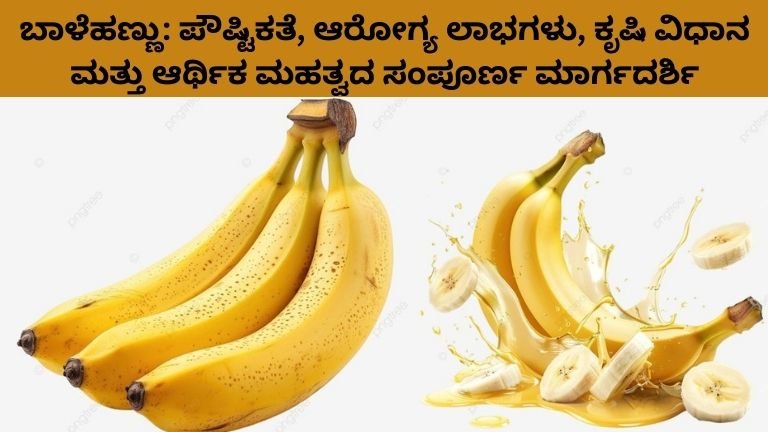 ಬಾಳೆಹಣ್ಣು: ಪೌಷ್ಟಿಕತೆ, ಆರೋಗ್ಯ ಲಾಭಗಳು, ಕೃಷಿ ವಿಧಾನ ಮತ್ತು ಆರ್ಥಿಕ ಮಹತ್ವದ ಸಂಪೂರ್ಣ ಮಾರ್ಗದರ್ಶಿ