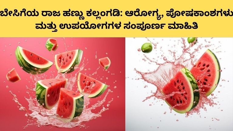 ಬೇಸಿಗೆಯ ರಾಜ ಹಣ್ಣು ಕಲ್ಲಂಗಡಿ: ಆರೋಗ್ಯ, ಪೋಷಕಾಂಶಗಳು ಮತ್ತು ಉಪಯೋಗಗಳ ಸಂಪೂರ್ಣ ಮಾಹಿತಿ