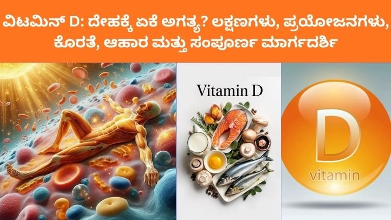 ವಿಟಮಿನ್ D: ದೇಹಕ್ಕೆ ಏಕೆ ಅಗತ್ಯ? ಲಕ್ಷಣಗಳು, ಪ್ರಯೋಜನಗಳು, ಕೊರತೆ, ಆಹಾರ ಮತ್ತು ಸಂಪೂರ್ಣ ಮಾರ್ಗದರ್ಶಿ