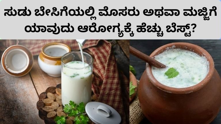 ಸುಡು ಬೇಸಿಗೆಯಲ್ಲಿ ಮೊಸರು ಅಥವಾ ಮಜ್ಜಿಗೆ – ಯಾವುದು ಆರೋಗ್ಯಕ್ಕೆ ಹೆಚ್ಚು ಬೆಸ್ಟ್?